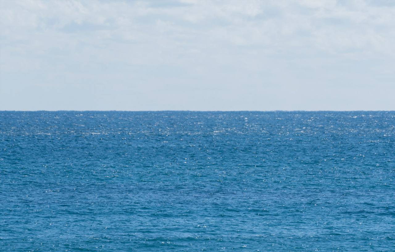 hair Watts official web site